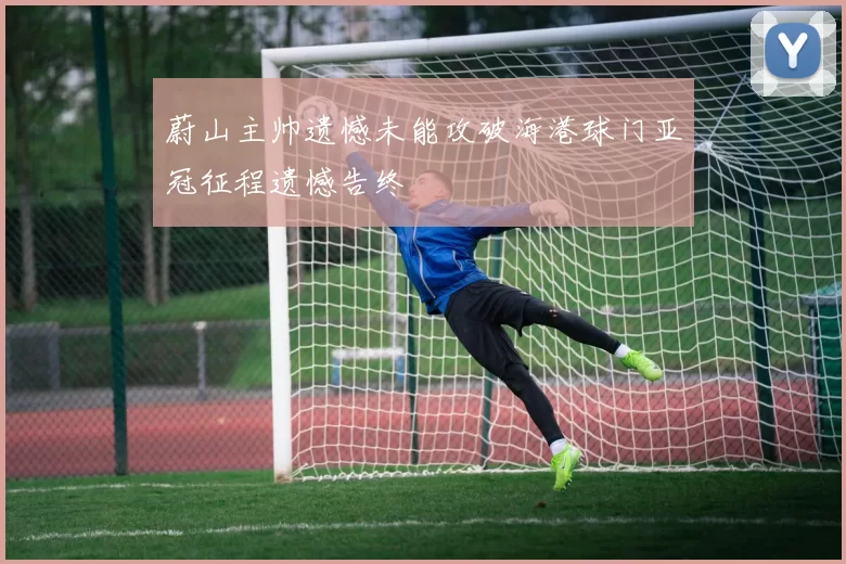 蔚山主帅遗憾未能攻破海港球门亚冠征程遗憾告终