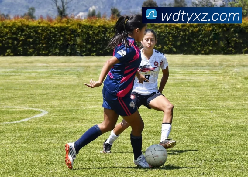 C罗职业生涯点球失误35次距千球目标仅差同样35球